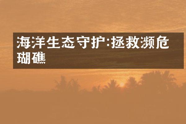 海洋生态守护:拯救濒危珊瑚礁