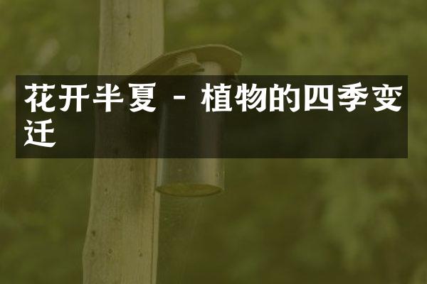 花开半夏 - 植物的四季变迁