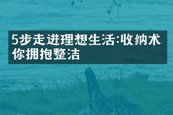 5步走进理想生活:收纳术帮你拥抱整洁