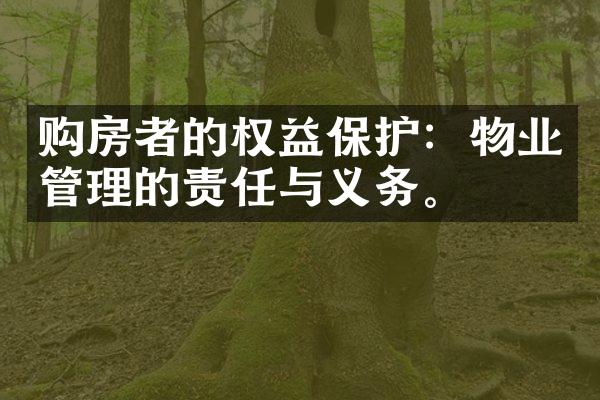 购房者的权益保护：物业管理的责任与义务。