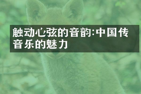 触动心弦的音韵:中国传统音乐的魅力
