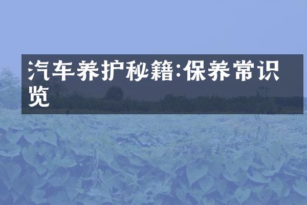 汽车养护秘籍:保养常识一览