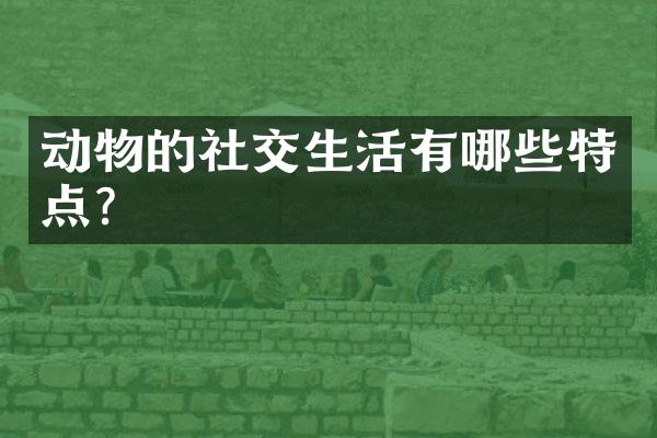 动物的社交生活有哪些特点?