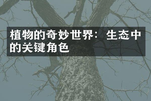 植物的奇妙世界：生态中的关键角色