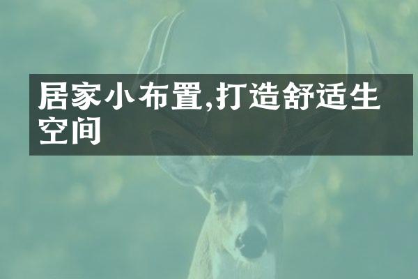 居家小布置,打造舒适生活空间