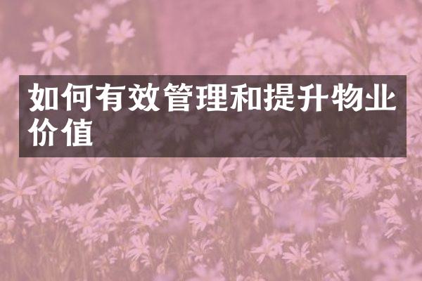 如何有效管理和提升物业价值