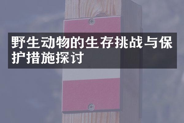 野生动物的生存挑战与保护措施探讨