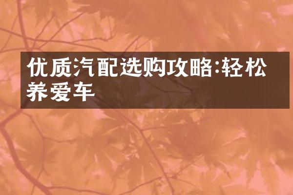 优质汽配选购攻略:轻松保养爱车