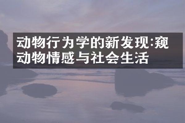 动物行为学的新发现:窥探动物情感与社会生活