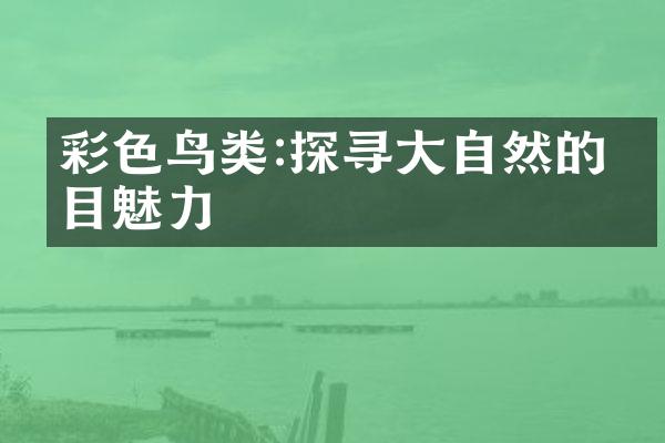 彩色鸟类:探寻大自然的炫目魅力