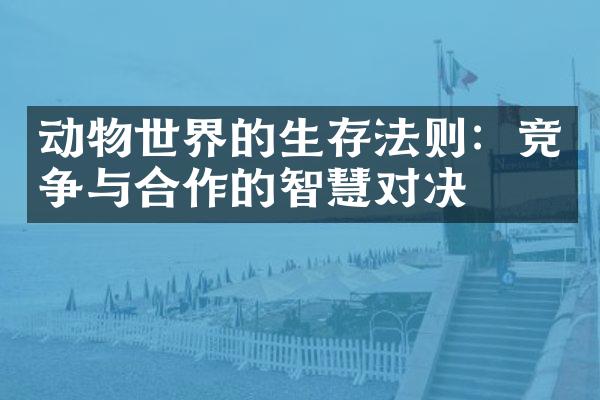动物世界的生存法则：竞争与合作的智慧对决