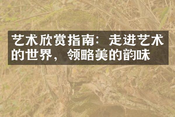艺术欣赏指南：走进艺术的世界，领略美的韵味