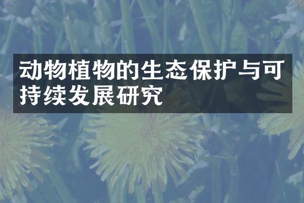 动物植物的生态保护与可持续发展研究