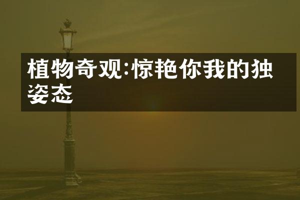 植物奇观:惊艳你我的独特姿态