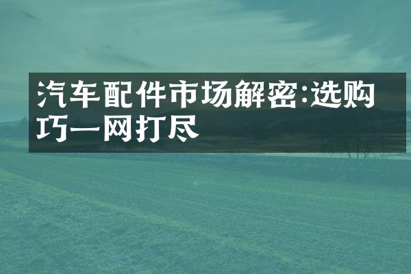 汽车配件市场解密:选购技巧一网打尽