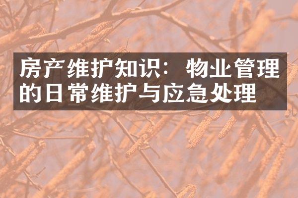 房产维护知识：物业管理的日常维护与应急处理