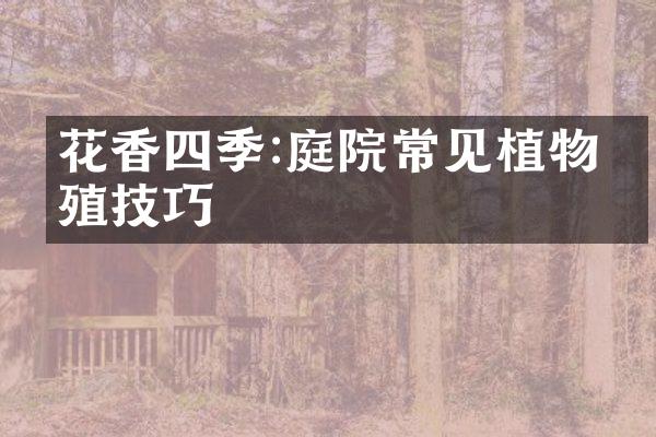 花香四季:庭院常见植物养殖技巧