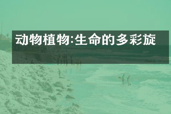 动物植物:生命的多彩旋律