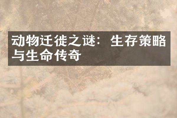 动物迁徙之谜：生存策略与生命传奇