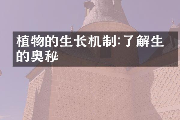 植物的生长机制:了解生命的奥秘
