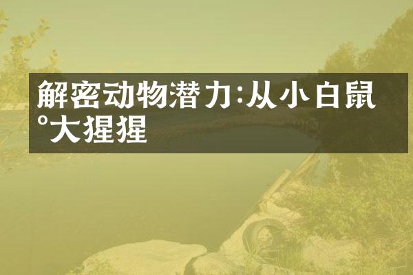 解密动物潜力:从小白鼠到大猩猩