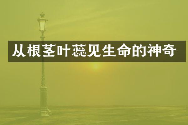从根茎叶蕊见生命的神奇