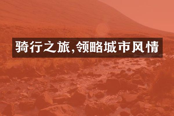 骑行之旅,领略城市风情