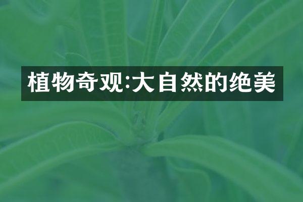 植物奇观:大自然的绝美