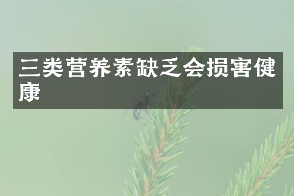 三类营养素缺乏会损害健康