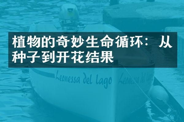 植物的奇妙生命循环：从种子到开花结果