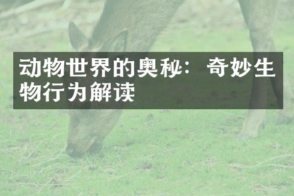 动物世界的奥秘：奇妙生物行为解读