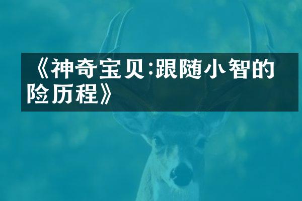 《神奇宝贝:跟随小智的冒险历程》