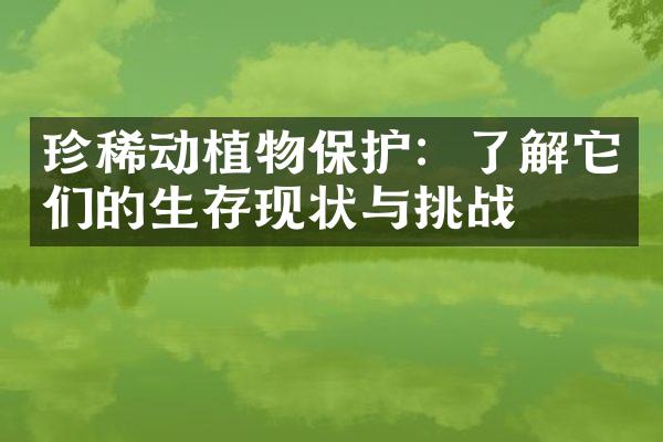 珍稀动植物保护：了解它们的生存现状与挑战