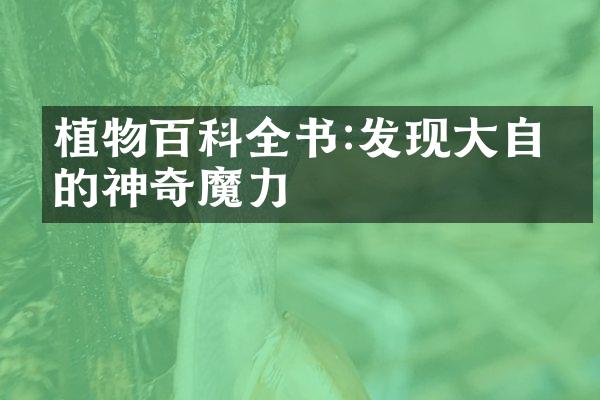 植物百科全书:发现大自然的神奇魔力