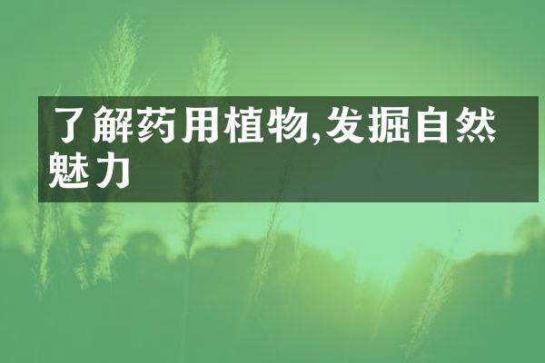 了解药用植物,发掘自然的魅力