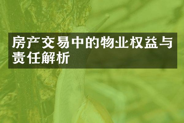 房产交易中的物业权益与责任解析