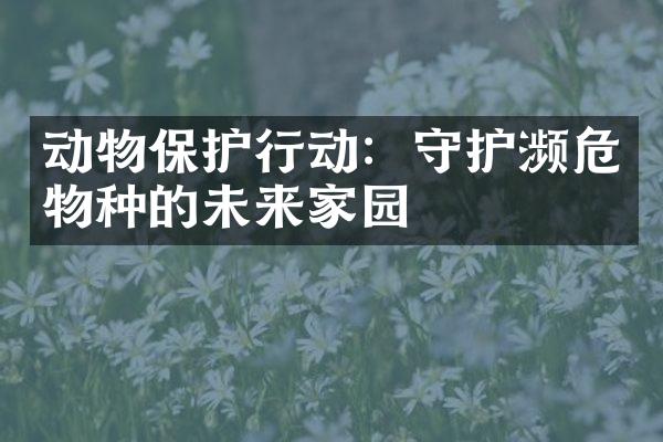 动物保护行动：守护濒危物种的未来家园