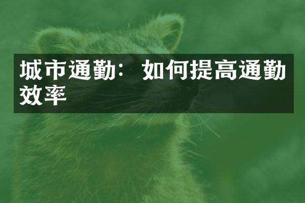 城市通勤：如何提高通勤效率