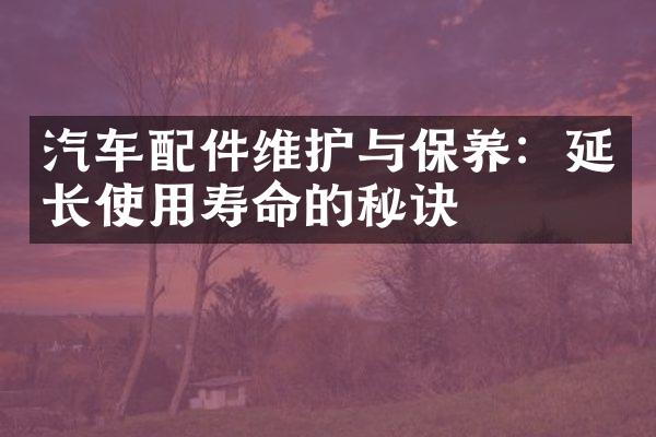 汽车配件维护与保养：延长使用寿命的秘诀