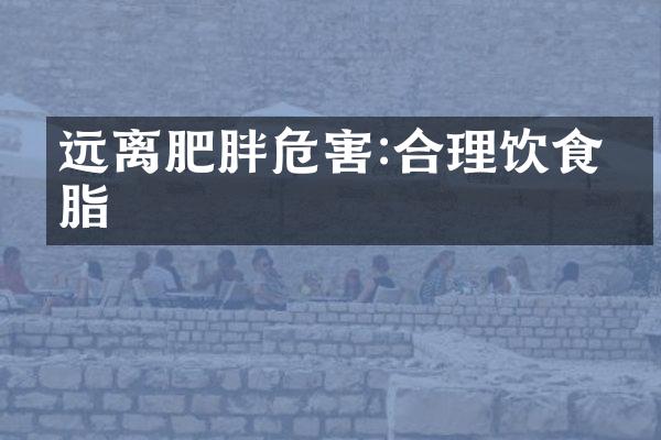 远离肥胖危害:合理饮食减脂