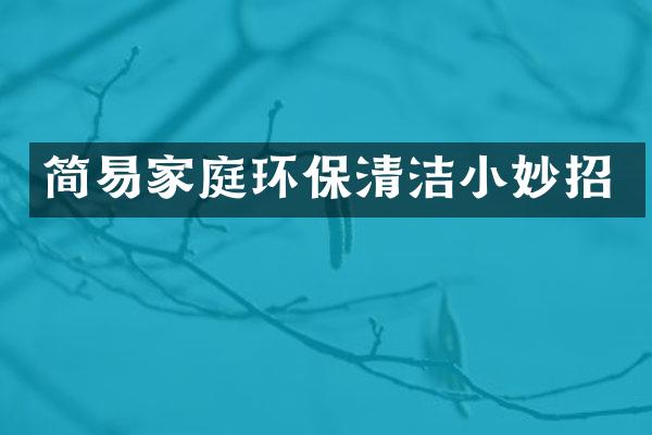 简易家庭环保清洁小妙招