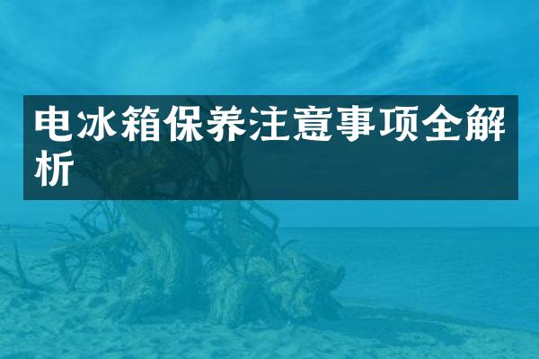电冰箱保养注意事项全解析