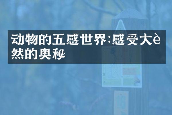 动物的五感世界:感受大自然的奥秘
