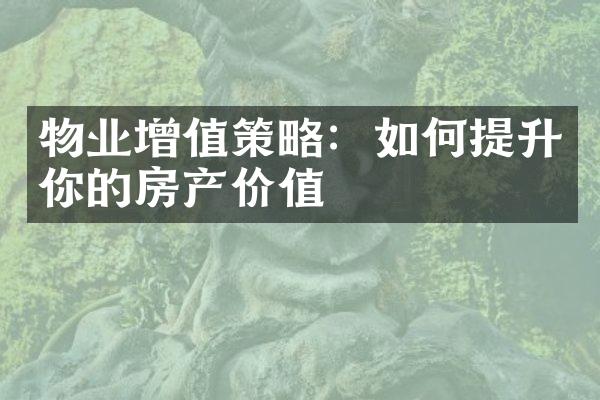 物业增值策略：如何提升你的房产价值
