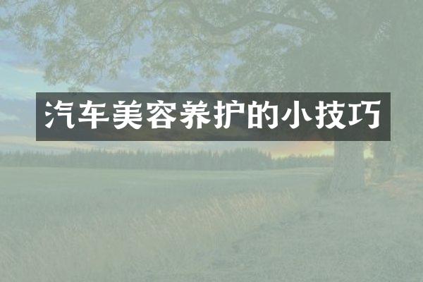 汽车美容养护的小技巧