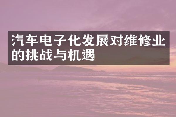 汽车电子化发展对维修业的挑战与机遇