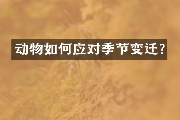 动物如何应对季节变迁?