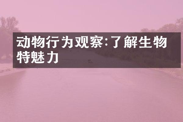 动物行为观察:了解生物独特魅力