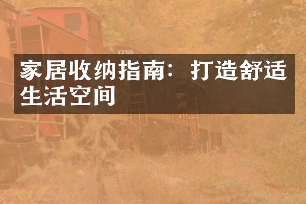 家居收纳指南：打造舒适生活空间
