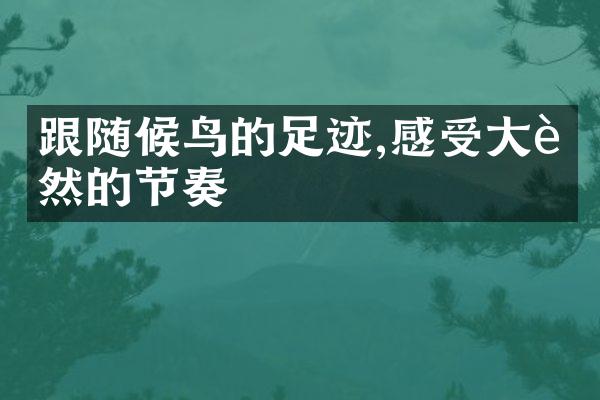 跟随候鸟的足迹,感受大自然的节奏